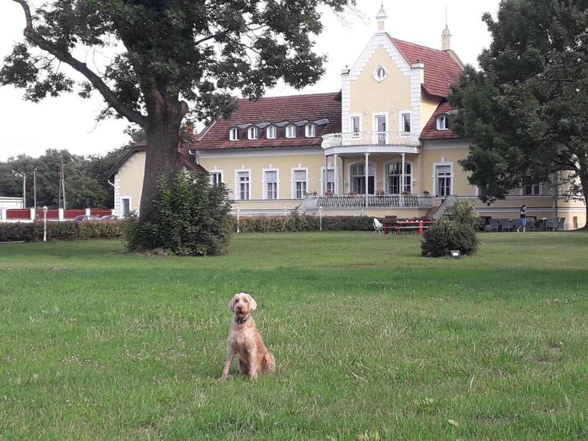 TaplanszentkeresztRosenberg Kuria住宿加早餐旅馆 外观 照片